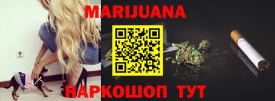 spice Камышлов