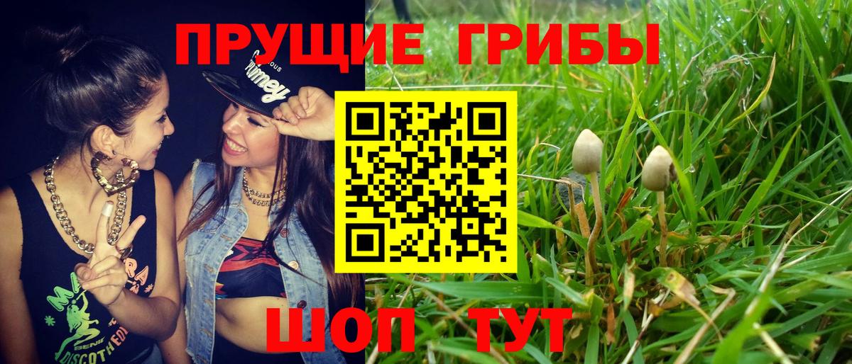 Псилоцибиновые грибы MAGIC MUSHROOMS Южно-Сахалинск
